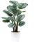 63CM Künstliche Pflanzen Calatheas Orbifolia Goeppertia Orbifolia Pflanze Tropische Künstliche Zimmerpflanzen im Topf für Hausgarten Büro Dekoration