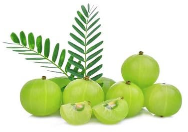 Semillas de frutas de grosella espinosa verde 50 piezas frescas