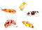 Handgefertigte Karpfenfische, Koi-Fische, Familienfiguren, geblasenes Glas, Miniatur-Wassertiere, Sammlerfiguren, Geschenkideen, winzige Ornamente, coole Sachen, Dekor Nr. 1