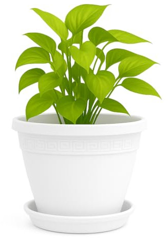 TECHZOCO Macetero con Plato, Maceta Redonda clásica de plástico con Plato, Tiesto para Plantas, Fabricado en Polipropileno, 13 cm Altura x 18 cm Diámetro Superior x 10 cm Diámetro Base, Blanco.