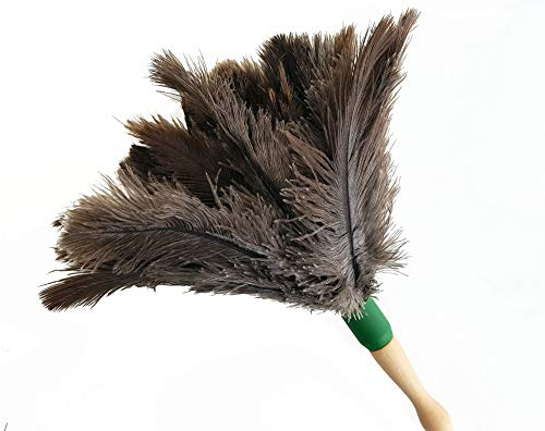 Clim Profesional - Plumero de Avestruz Gigante de 1,03 Metros, Atrapa el Polvo de Cualquier Superficie, Ideal para Limpieza Doméstica y Profesional, 103_cm