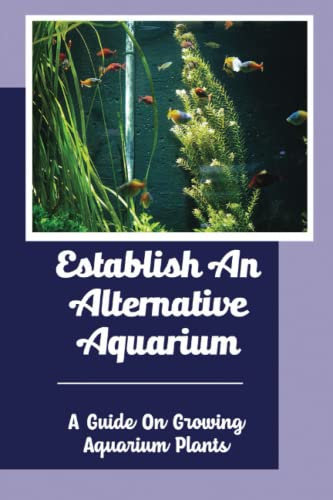 Establish An Alternative Aquarium: A Guide On Growing Aquarium Plants