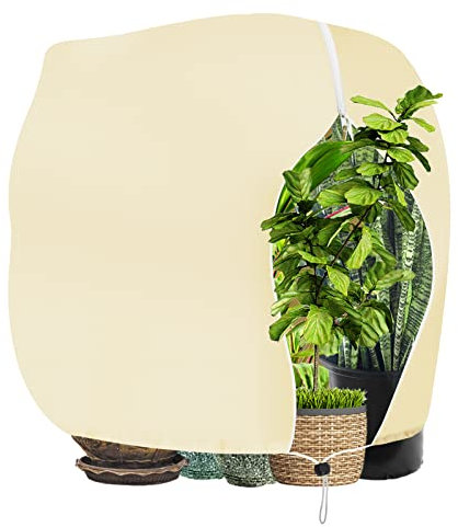 Sosayet Überwinterungszelt für Pflanzen, 200x240cm 70g/m² Winterschutz für Kübelpflanzen mit Reißverschluss Zugband, Reißfest Wiederverwendbar Frostschutz Pflanzenschutz Winte für Olivenbaum Palmen