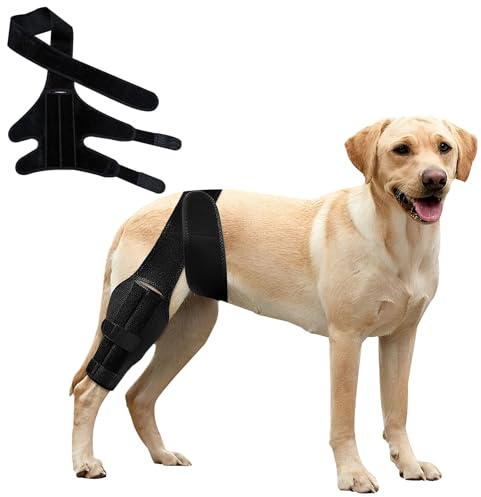 XINGYATU Rodillera para Perros, Funda Ajustable para Las Pierna (S) | Tejido Suave y Transpirable, Estabilizador Lateral, Para Rotura LCA y Luxación de Rótula, Cierre de Velcro