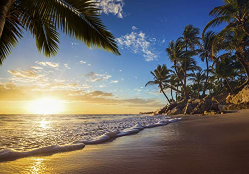 decomonkey Fototapete Strand Meer 350x256 cm XXL Design Tapete Fototapeten Tapeten Wandtapete moderne Wand Schlafzimmer Wohnzimmer Landschaft Natur Tropisch