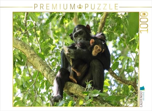 CALVENDO Puzzle Schimpansen im Mahagoni-Urwald | 1000 Teile Lege-Größe 64 x 48 cm Foto-Puzzle für glückliche Stunden