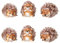 Geschenkestadl Igel 6 Figuren mit Plüschfell Stoffhaare