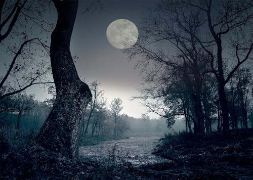 CORFOTO 2.1x1.5m Dark Forest Backdrop Horrible Spooky Forest Night Photography Backdrop Halloween Full Moon Night Backdrop Halloween Eve Party Decor Backdrop Kids Photo Booth