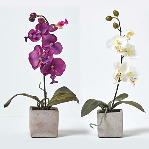 Homescapes 2er-Set Künstliche Orchideen im Topf – lila & weiß, 40 cm, Kunst-Orchideen wie echt im Topf in Beton-Optik