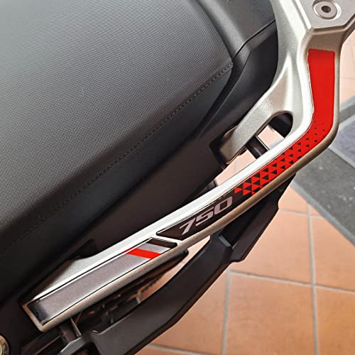 Resin Bike Adesivi Moto Compatibile con Honda Transalp XL 750 2023-2025 Protezione Moto Maniglie Passeggero da Urti e Graffi. Coppia di Adesivi 3D Resinati Neutro