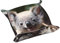 Poezjzw Süßes Koala-Ledertablett für Schmuck, Nachttisch, Schreibtisch, kleiner Auffangbehälter für Schlüssel, Geldbörse, Uhr, Münzen, klein