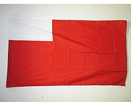 Abu Dhabi - Vereinigte Arabische Emirate Emirat Abu Dhabi 90X150Cm Indoor Flagge Lustige Outdoor Sign With Metal Grommets Lawn Sign Décor Für Lawn Veranda Outdoor