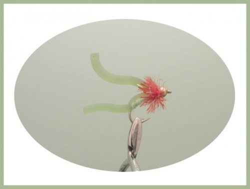 12 unidades de oro cabeza Lime squirmy gusano pesca moscas. Tamaño 10