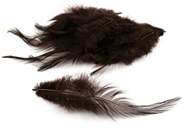 3g Hahnenkreuz Federn ca. 8-13cm (braun 870) // Dekofedern Bastelfedern Federn Hahn Natur Schmuckfedern Vogelfedern Hahnenfedern
