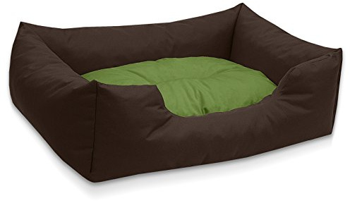 BedDog Hundebett Mimi, Hundesofa aus Cordura, Microfaser-Velours, waschbares Hundebett Vier-eckig mit Rand, Hundekissen für drinnen, draußen, M, braun-grün