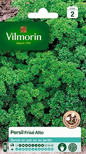 Vilmorin 3182670127915 3801542 Persil Frise Alto Creation, Vert, 90 x 2 x 140 cm