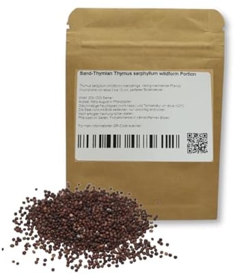 Sand-Thymian Thymus serphyllum wildform Bodendecker trittfest (10g)