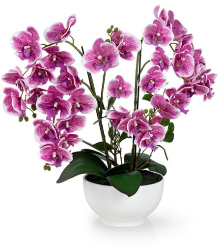 PASCH® XXL Kunstblume Orchidee groß (56cm) in Hochglanz-Keramiktopf | Orchideen künstlich | Kunstblumen wie echt | künstliche Orchideen im Topf | künstliche Blumen im Topf | Kunstblumen im Topf