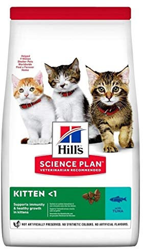 Hill's Pet Nutrition Sp Feline Kitten Thunfisch - 1500 g