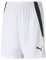 PUMA Unisex Kinder Teamliga Jr Shorts, Puma White-puma Black, 176 EU