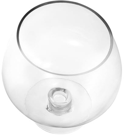 MAGICLULU Small Glass Fish Bowl Clear Desktop Aquarium Tank for Goldfish Ornamental Fish Versatile Decorative Fishbowl Lightweight Transparent Glass Vase