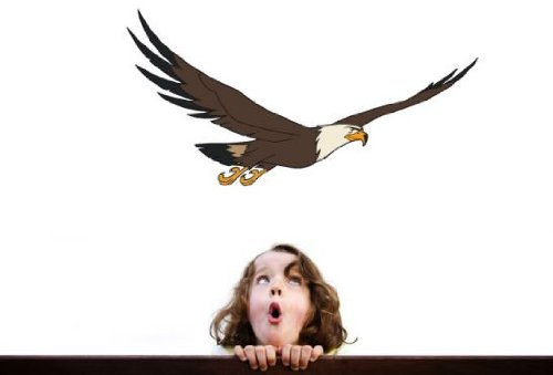 K&L Wall Art Wandtattoo - Yakari Großer Adler - Größe: 139x70 cm