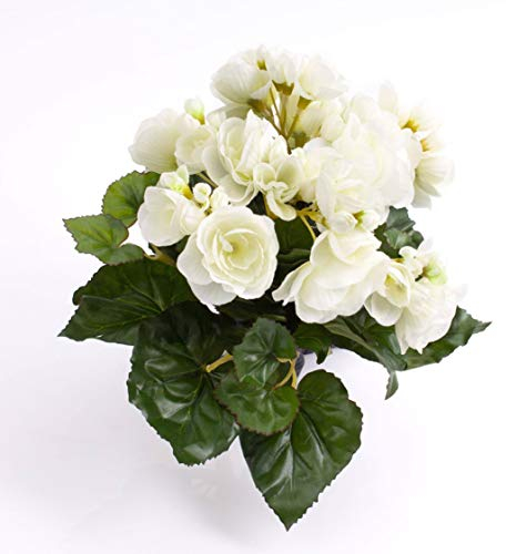 artplants.de Künstliche Mini Begonie Ivana, 27 Blätter, 9 Blüten, Creme, 20cm, Ø 20cm - Künstliche Blumen - Textilblumen weiß