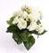 artplants.de Künstliche Mini Begonie Ivana, 27 Blätter, 9 Blüten, Creme, 20cm, Ø 20cm - Künstliche Blumen - Textilblumen weiß
