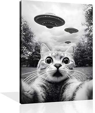 OWNANRTHM Lustige Katze, Leinwand-Kunst, schwarz-weiße Katze, Wandkunst Katze und UFO, Alien, Wandkunst, Vintage-Katzen-Poster, Katze, Badezimmer, Gemälde, lustige Katzenbilder für Wohnzimmer,