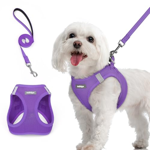 rabbitgoo Hundegeschirr Kleine Hunde mit Leine Step-in, Lila, M | Einfach anzulegen, Atmungsaktiv, Weiches Mesh & Reflektierend, Sicherheitsverschluss mit 1,5m Leine für Kleine Mittlere Hunde
