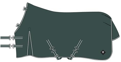 Imperial Riding Outdoordecke Basic 300g, ohne Halsteil, warme Outdoordecke, wetterfestes Material, Gehfalte, 600D Polyester, Kreuzbegurtung, Schweif - & Beinschnüre, Grün, 125