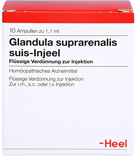 Glandula Suprarenalis suis Injeel Ampullen 10 stk