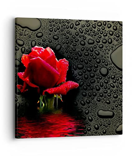 Moderne Impression sur Toile Fleur rose rouge eau rosée Image Tableau Decoration Murale 30x30cm Deco Cadre Décoration Salon Chambre Cuisine Carré Tableaux Decoratifs Muraux Art Wall AC30x30-2367