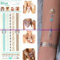 Tatouage Bracelet cheville ethnique, Planche Tattoo or, argent, bleu 23 x 9 cm