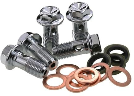 TERAM LOISIRS Vis Banjo M10 x 1,25 + 2 Joints Compatible Maitre Cylindre de Frein et Etrier Neuf France