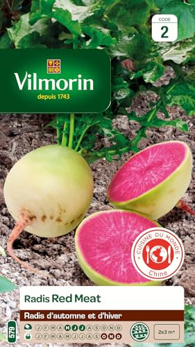 Vilmorin - Sachet graines Radis Red Meat