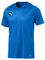 PUMA Herren Jersey, Blau (Electric Blue Lemonade-White), 48/50 (Herstellergröße: M)