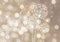 decomonkey Fototapete Pusteblume 400x280 cm XL Tapete Fototapeten Vlies Tapeten Vliestapete Wandtapete moderne Wand Schlafzimmer Wohnzimmer Wandtapete Blumen Abstrakt