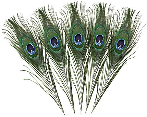 FBGood natürliche Pfauenfedern – echte natürliche Pfauenfedern für Handwerk, Halloween, Brautjungfer, Corsage, Weihnachtsgirlande und Dekoration zu Hause (5 Stück)