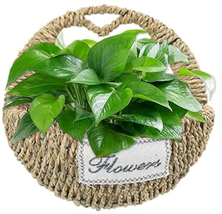Rattan-Blumen-Wandkorb, Korb-Rattan-Blumenkorb - Wandmontierte Pflanzkörbe mit Griffen,Atmungsaktiver Wandkorb, dekorativer Blumenkorb für Zuhause, Garten, Hochzeit
