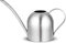 Miuse - Arrosoir en acier inoxydable brossé - 500 ml - Pour arrosage intérieur et extérieur - Mini arrosoir en métal moderne - Outils de jardinage pour plantes d'intérieur
