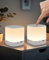 Homefire Lampada da comodino a LED, 2 pezzi, dimmerabile: lampada da tavolo, batteria da 1800 mAh, USB, ricaricabile, bianca, senza fili, con 3 temperature di colore e funzione temporizzazione, luce