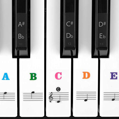 Joyfeel's Store Klavier keyboard Aufkleber Transparent Noten-Aufkleber ür Klavier und Keyboard mit 37/49/54/61/88 für weiße & schwarze Tasten