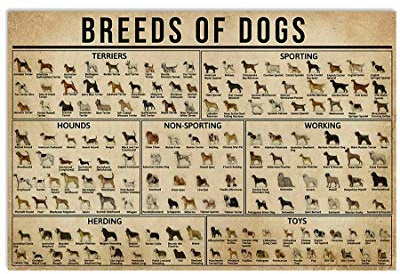 TNND All Kind Breeds Of Dogs Poster Detail Of Every Dog Great Gift For Your Buds Art Wall Decor Home Decor Father's Day Birthday Gift Metal Signs 30,5 x 40,6 cm