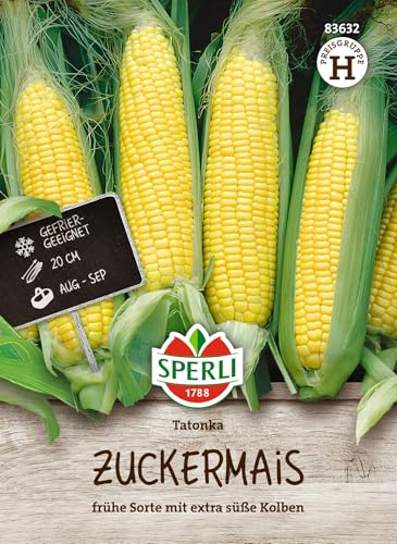 Sperli Zuckermaissamen Tatonka, F1 83632 - Frühe Sorte mit extra süßen Kolben - Inhalt für 20 Pflanzen - Gemüsesamen, Samen Gemüse, Saatgut, Gemüsepflanzen