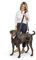 PetSafe CareLift Stützgeschirr, Ganzkörper-Hebehilfe mit Griff und Schultergurt, ideal für die Mobilität von Haustieren und älteren Hunden, um ihnen zu helfen, bequemes, atmungsaktives Material,