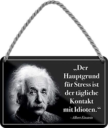 WOGEKA ART Retro Blechschild - Albert Einstein Hauptgrund für Stress sind Idioten - witziger Spruch Geschenk-Idee Geburtstag Weihnachten Dekoration 18x12 cm Vintage-Design Hänge-Schild HS464