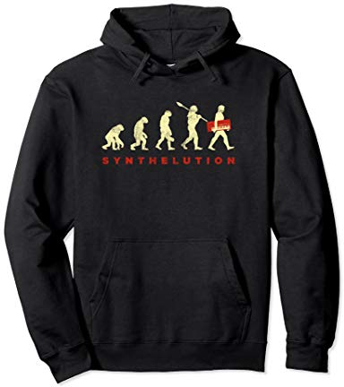 Vintage Synthesizer Evolution Studio Gear Synth DJ Analog Pullover Hoodie