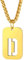 Richsteel vergoldeter Alphabet D Halskette Dog Tag Anhänger mit Weizenkette für Damen Herren