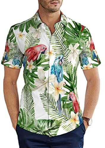 Herren Hemd Tropische grüne Monstera Bunte Papagei Vögel Hawaiihemd Print Kurzarm Sommer Hemd für Strand Party Camping Multicolor M